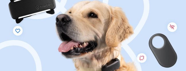 Infografik von Tractive: Samsung SmartTag vs. Tractive GPS Smart Tracker für Hunde und Katzen