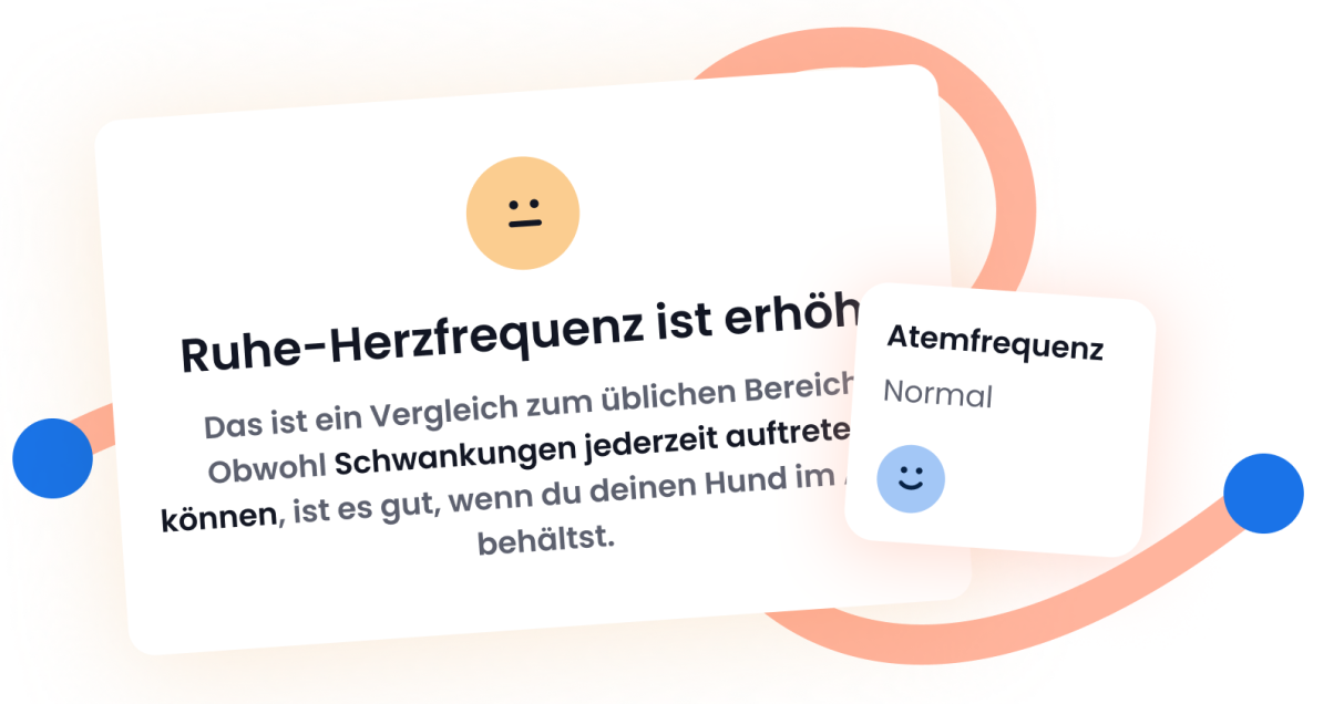 TÄGLICHE EINBLICKE
